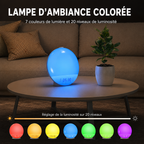 SUNRAY — Réveil Simulateur d'Aube & Aide au Sommeil